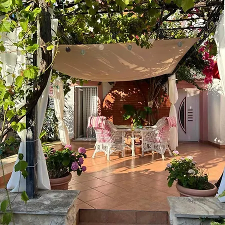 Summer House Mokka *