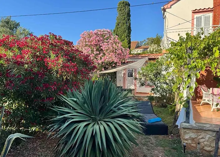 Summer House Mokka 펜션 실바