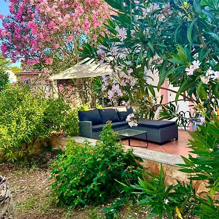 Summer House Mokka Σπίτι διακοπών Silba
