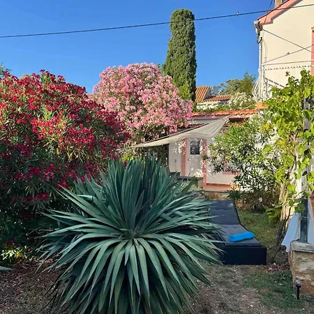Summer House Mokka Holiday home Silba