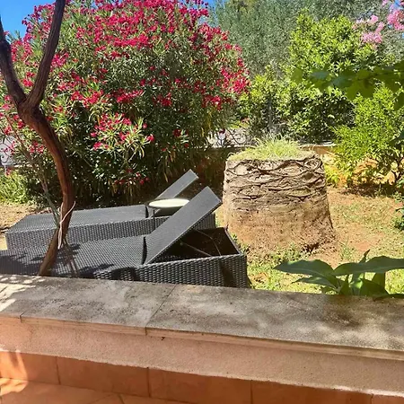 Dom wakacyjny Summer House Mokka *