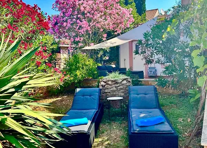 Summer House Mokka *